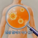 샬롬한의원 이미지