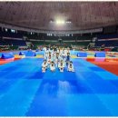 고려 참 태권도장 이미지