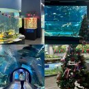 충북 | [괴산여행] 청주근교 아쿠아리움 추천 시설좋았던 <충북아쿠아리움> 무료입장 후기