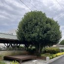 미수운하경로당 이미지