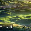 용문고시원 - 강남구 삼성로82길 22 | 용문고시원