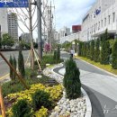 거제대로 이미지