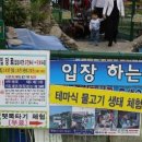 물고기마을 이미지