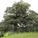 병산1리 이미지