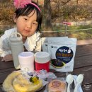 대공원광장대로 | 인천대공원 자전거 대여 위치와 유의사항 라이딩 후기