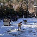 현아네 농장 이미지