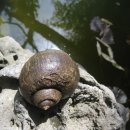 토종약초건강원 이미지