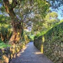 작가의 산책길 이미지