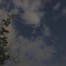 티바두마리치킨 충무점 이미지