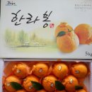 농어민직판장