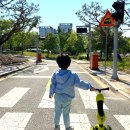 수원-0386 이미지