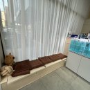하남미사미용실 벨라 오 헤어 남자머리 지니쌤 커트 솔직후기
