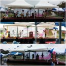 태권도예일체육관 이미지