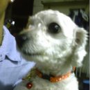 가고파사우나 이미지