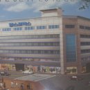 영스포렉스 이미지