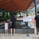 오색한옥펜션 이미지