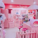 핑크 PET 살롱 네이버블로그