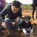 한아름농장 이미지