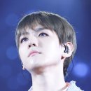 그린네이처 이미지