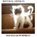 겜조이 | 2월 - 해리포터, 귤잼, 수원스타필드, 아빠환갑, 파테크, 해방촌