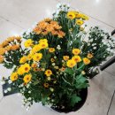 플로리스트파크바리스타파크학원