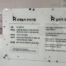 루키즈더아트