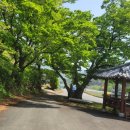 아치실마을 이미지