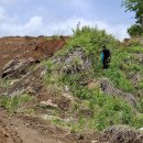 다락골주유소 이미지