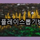 핫뽑기방 이미지