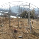 어부네농장 이미지