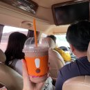 햇빛부서지는바다 이미지