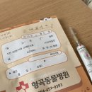 형곡동물병원 이미지