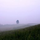 목장의아침 이미지