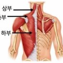 블루밍PT 이미지