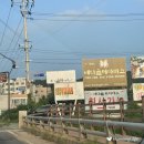 경기도 취사가능 수영장 &#39;배다골테마파크&#39; 정보 &amp; 후기