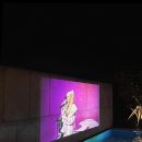 스테이 사이 이미지