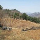 만복농장 이미지