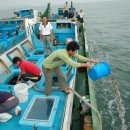 황금어장 이미지