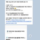 이브스토어서울금천구 | [서울/잠실] 수친자의 프리다이빙 원데이 체험 솔직 후기! 내돈내산 '아모다이브'