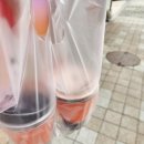 팔공티가평점
