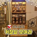 중앙로79번길 | 대전 대형 카페 커피에 진심인 블랙데스크