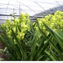 금당농장 이미지