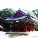 동화사(도학동) 이미지