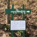 바우길 17구간 | [평창/대관령] 대관령 양떼목장 &amp; 안반데기 여행😊방문 후기