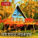 동화 전문정비 | 대전 가볼만한곳 만인산자연휴양림, 가족 모두 만족한 1박 2일 후기