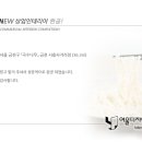 국수나무금천시흥