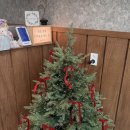 살랑애견미용실 | 진해 반려견 미용실 정착 후기｜1년 넘게 다니는 개인살롱 (개in살롱) 확장 이전 리뷰