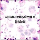 지오속눈썹