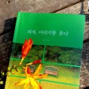 꿈꾸는 의자 이미지