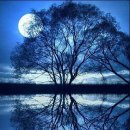 미드나잇블루(midnightblue)